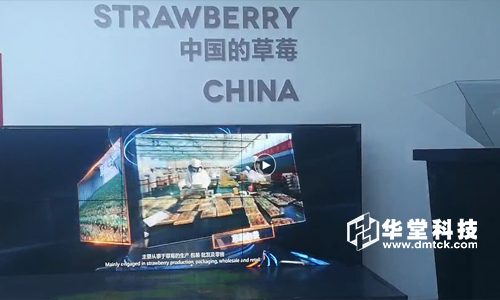 华堂科技承接第十八届中国（济南）草莓文化旅游节多媒体互动展示项目